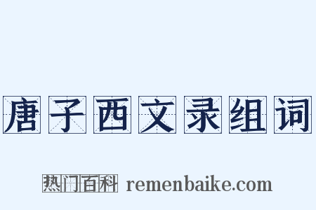 唐子西文录组词是什么意思的图片